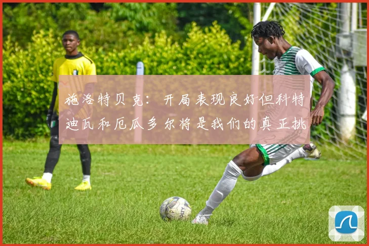 施洛特贝克：开局表现良好但科特迪瓦和厄瓜多尔将是我们的真正挑战